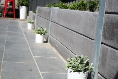 Web-Shots-059